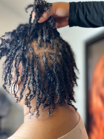 Starter Micro Locs