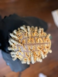 Locs color (Consultation)